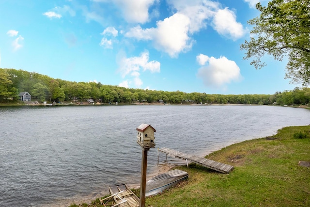 10138 S Lakeside Ridge Rd, Baldwin, MI 49304 - dock featuring a water view and a view of trees
