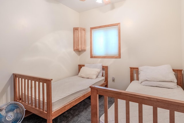 10138 S Lakeside Ridge Rd, Baldwin, MI 49304 - view of carpeted bedroom