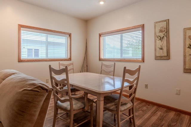 10138 S Lakeside Ridge Rd, Baldwin, MI 49304 - dining space with plenty of natural light, wood finished floors, and baseboards