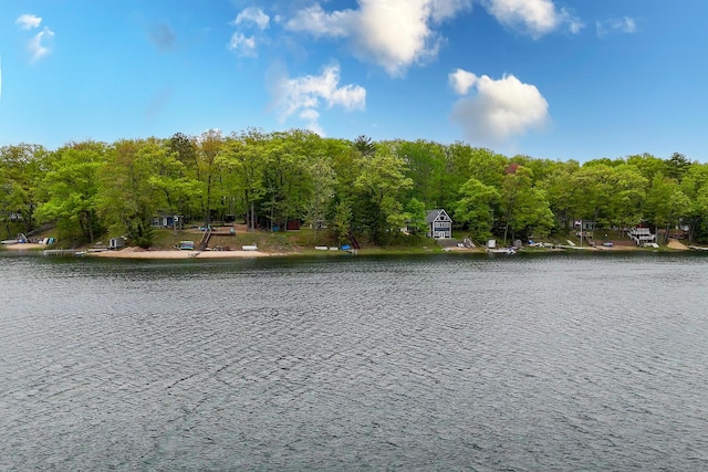 10138 S Lakeside Ridge Rd, Baldwin, MI 49304 - water view