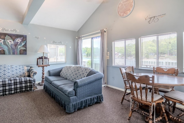 10138 S Lakeside Ridge Rd, Baldwin, MI 49304 - carpeted living area featuring high vaulted ceiling and baseboards