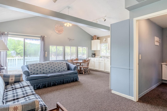 10138 S Lakeside Ridge Rd, Baldwin, MI 49304 - living area with vaulted ceiling, plenty of natural light, and carpet floors