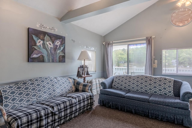 10138 S Lakeside Ridge Rd, Baldwin, MI 49304 - carpeted living room featuring lofted ceiling