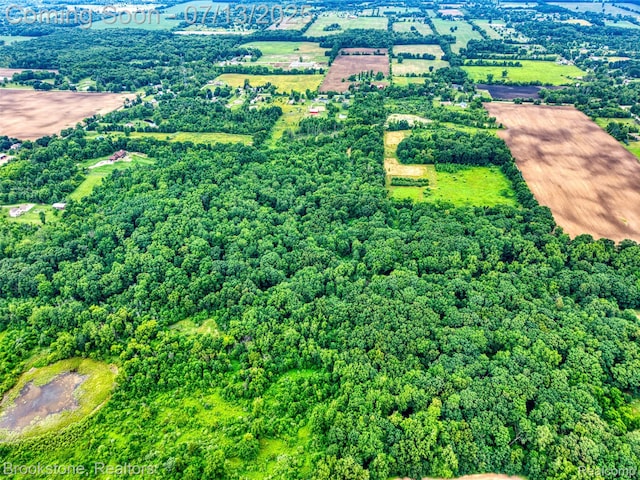 6245 Ray Rd, Swartz Creek, MI 48473 - view of property location featuring a heavily wooded area