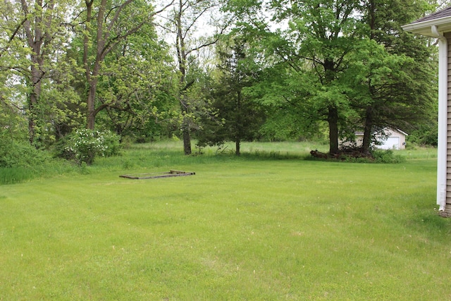 151 Ernest St, Brooklyn, MI 49230 - view of grassy yard