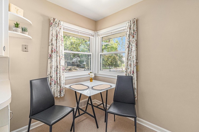 2204 Lakeway Ave, Kalamazoo, MI 49001 - dining area featuring baseboards and carpet