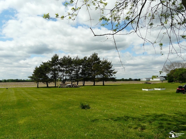 12067 Lewis Ave, Temperance, MI 48182 - view of grassy yard