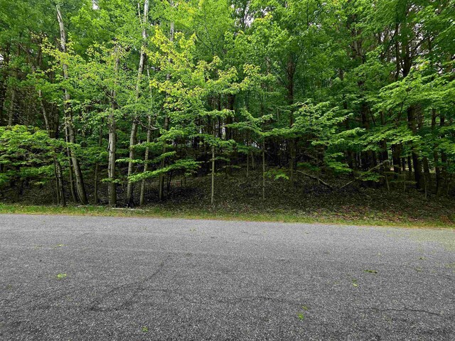 00 Sugar Bush Rd, Kewadin, MI 49648 - photo 5