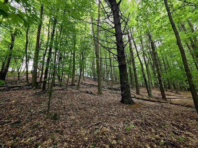 00 Sugar Bush Rd, Kewadin, MI 49648 - photo 13