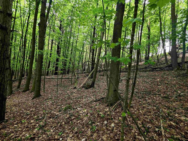 00 Sugar Bush Rd, Kewadin, MI 49648 - photo 11