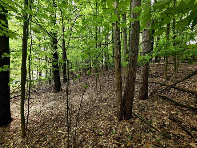 00 Sugar Bush Rd, Kewadin, MI 49648 - photo 12