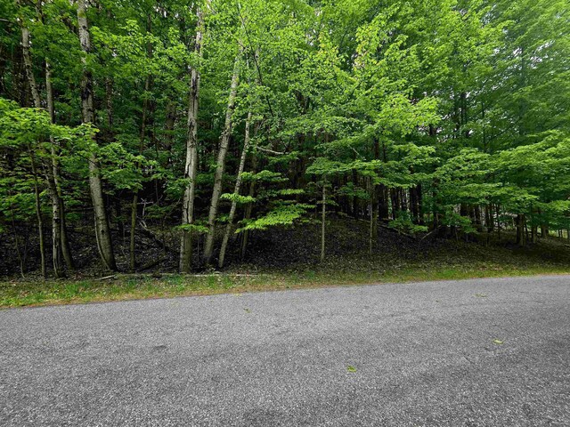 00 Sugar Bush Rd, Kewadin, MI 49648 - photo 14