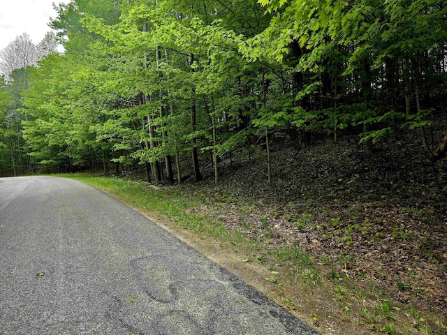 00 Sugar Bush Rd, Kewadin, MI 49648 - photo 15