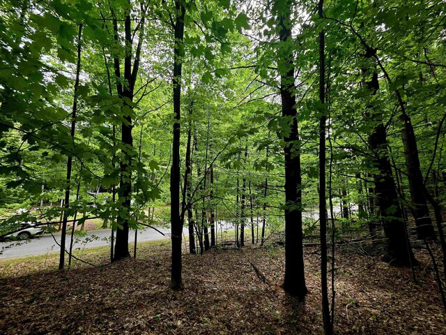 00 Sugar Bush Rd, Kewadin, MI 49648 - photo 4