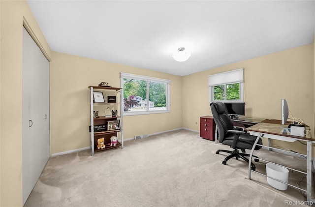 5259 Echo Rd, Bloomfield Hills, MI 48302 - office space featuring carpet and baseboards