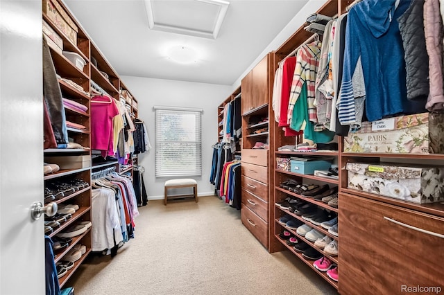 5259 Echo Rd, Bloomfield Hills, MI 48302 - walk in closet with attic access and carpet