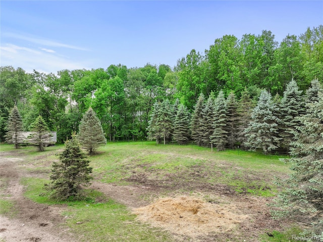 8875 N Lakola Rd, Tustin, MI 49688 - view of yard featuring a wooded view
