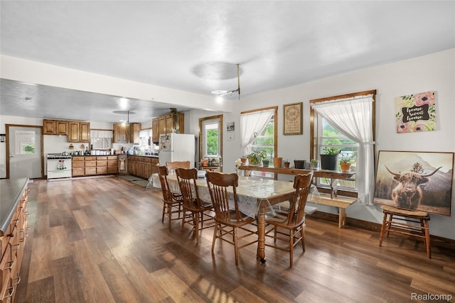 8875 N Lakola Rd, Tustin, MI 49688 - dining room featuring dark wood-style flooring
