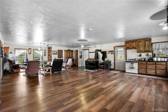 8875 N Lakola Rd, Tustin, MI 49688 - living room with dark wood-style flooring