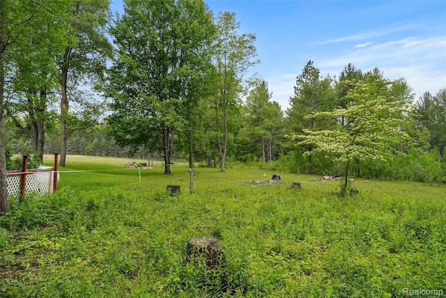 8875 N Lakola Rd, Tustin, MI 49688 - view of yard