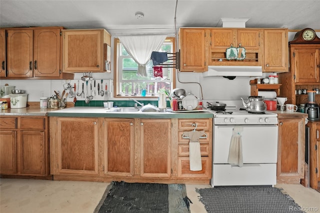 8875 N Lakola Rd, Tustin, MI 49688 - kitchen with white range with gas cooktop, extractor fan, a sink, light countertops, and brown cabinets