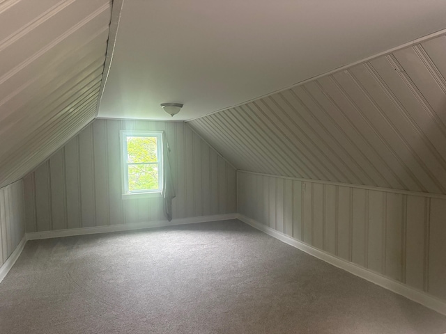 2019 Helen St, Garden City, MI 48135 - bonus room with lofted ceiling and carpet