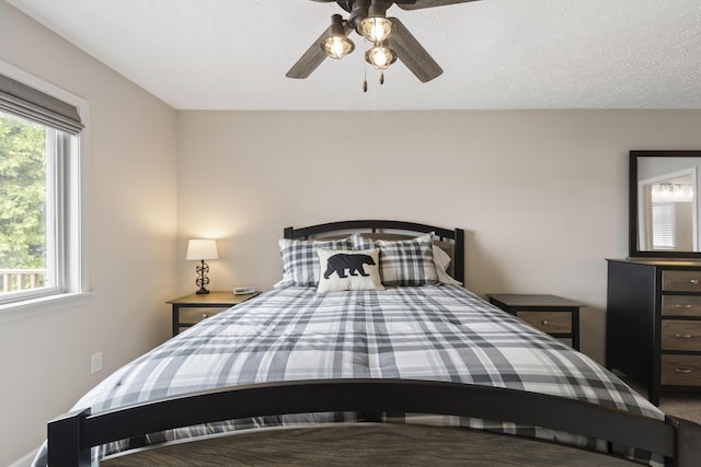 5384 Indian Trl, Frankfort, MI 49635 - bedroom with ceiling fan
