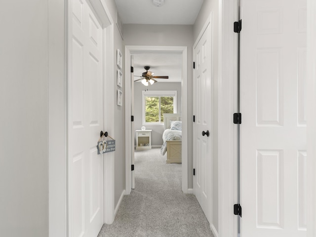 5384 Indian Trl, Frankfort, MI 49635 - hall featuring light colored carpet and baseboards