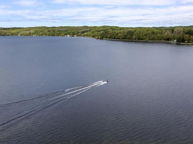 5384 Indian Trl, Frankfort, MI 49635 - water view featuring a heavily wooded area