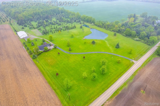 5562 Sheridan Line Rd, Croswell, MI 48422 - bird's eye view of a large body of water