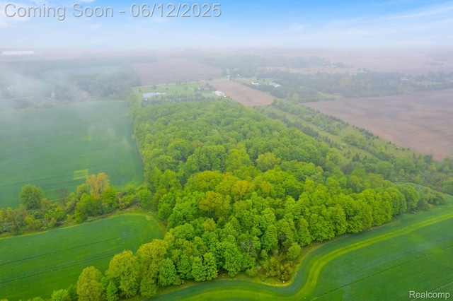 5562 Sheridan Line Rd, Croswell, MI 48422 - aerial view of a golf club