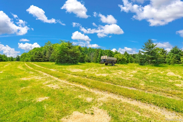 5562 Sheridan Line Rd, Croswell, MI 48422 - view of yard featuring a view of countryside and a wooded view