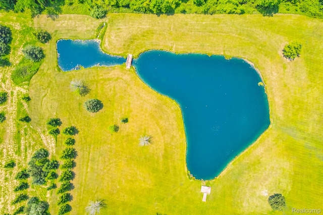 5562 Sheridan Line Rd, Croswell, MI 48422 - bird's eye view of a large body of water