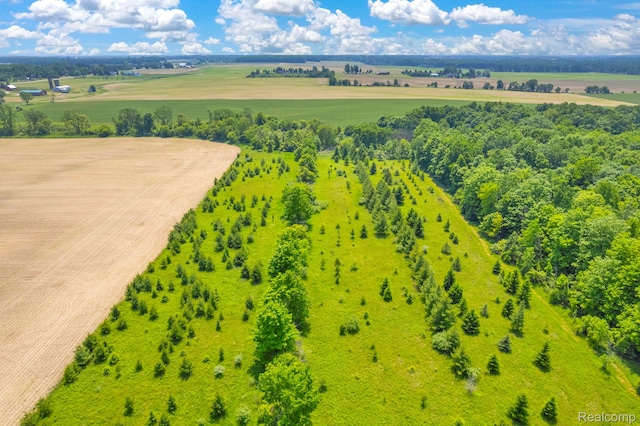 5562 Sheridan Line Rd, Croswell, MI 48422 - overview of rural landscape with farmland
