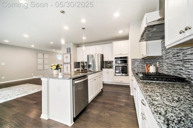 2979 Havre St, Ann Arbor, MI 48105 - kitchen with stainless steel appliances, tasteful backsplash, dark wood-style floors, a sink, and wall chimney range hood