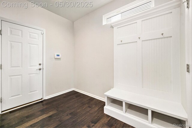2979 Havre St, Ann Arbor, MI 48105 - mudroom with dark wood finished floors and baseboards