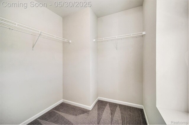 2979 Havre St, Ann Arbor, MI 48105 - spacious closet featuring carpet