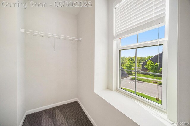 2979 Havre St, Ann Arbor, MI 48105 - view of closet