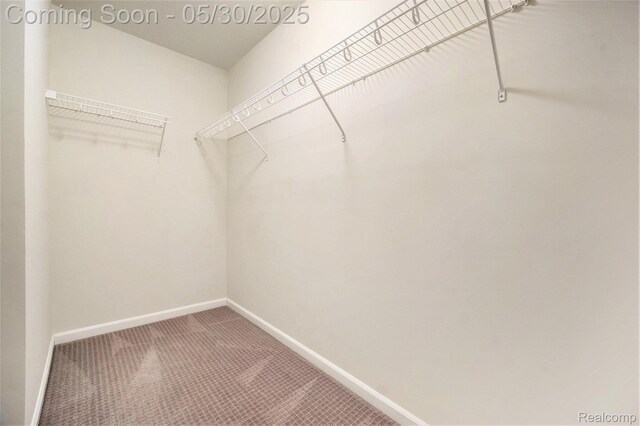 2979 Havre St, Ann Arbor, MI 48105 - spacious closet featuring carpet flooring