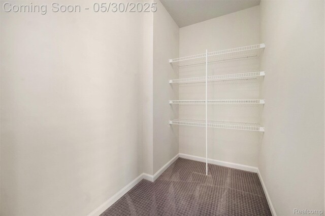 2979 Havre St, Ann Arbor, MI 48105 - walk in closet with carpet floors