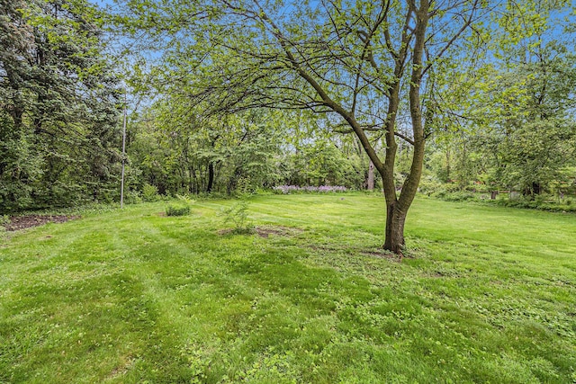 135 Barton Dr, Ann Arbor, MI 48105 - view of grassy yard with a view of trees