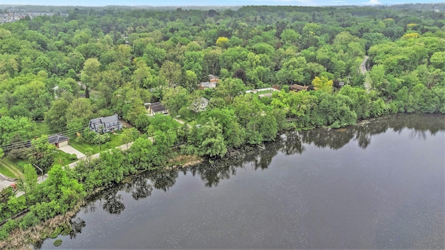 135 Barton Dr, Ann Arbor, MI 48105 - aerial view of a forest and a nearby body of water