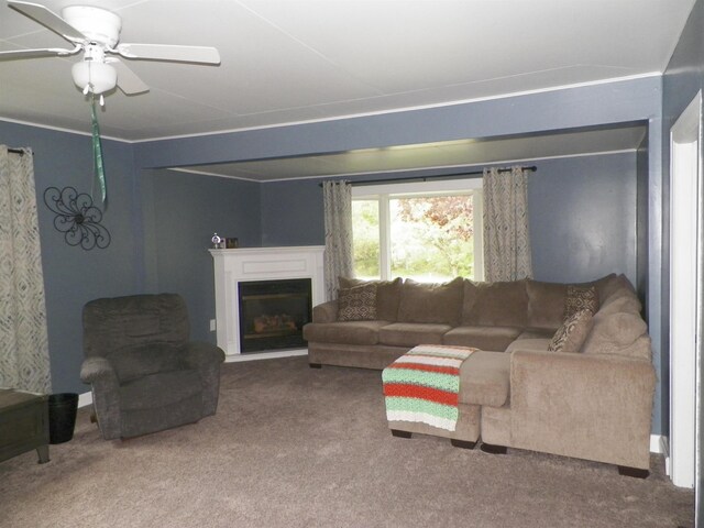 213 Cass St, Tustin, MI 49688 - carpeted living room with a ceiling fan and a fireplace