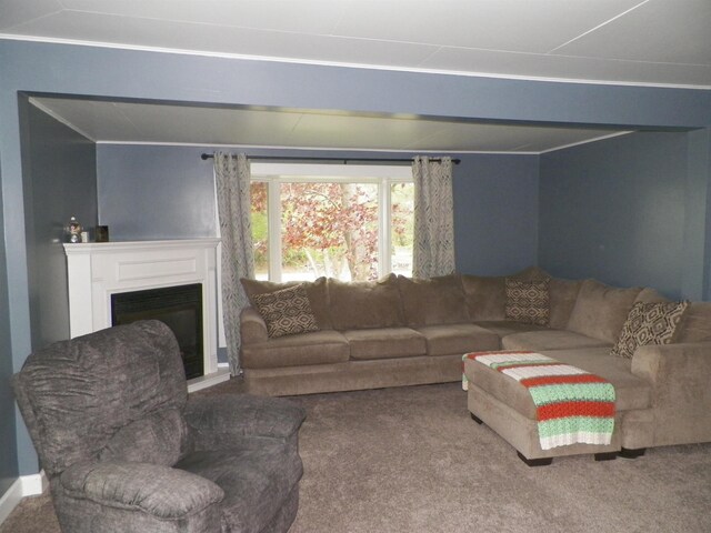213 Cass St, Tustin, MI 49688 - living room with a fireplace, carpet, and ornamental molding