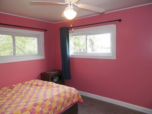 213 Cass St, Tustin, MI 49688 - bedroom with multiple windows, carpet floors, a ceiling fan, and baseboards