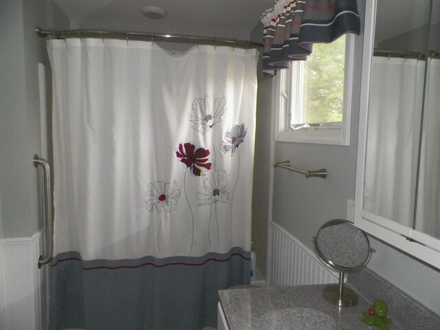 213 Cass St, Tustin, MI 49688 - full bathroom featuring a wainscoted wall, vanity, toilet, and a shower with shower curtain