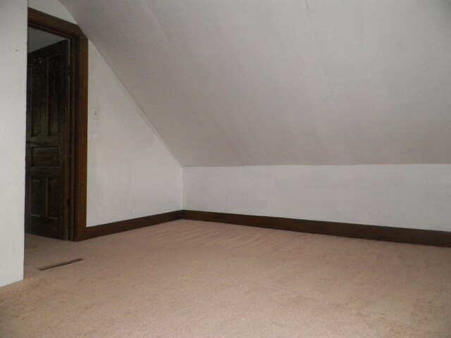 213 Cass St, Tustin, MI 49688 - additional living space with carpet flooring, vaulted ceiling, and baseboards