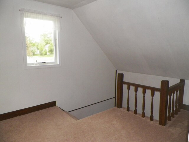 213 Cass St, Tustin, MI 49688 - bonus room with vaulted ceiling and carpet