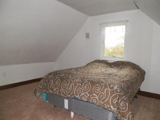 213 Cass St, Tustin, MI 49688 - bedroom with carpet floors, vaulted ceiling, and baseboards