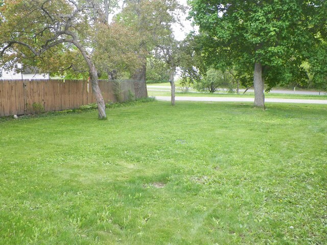 213 Cass St, Tustin, MI 49688 - view of yard